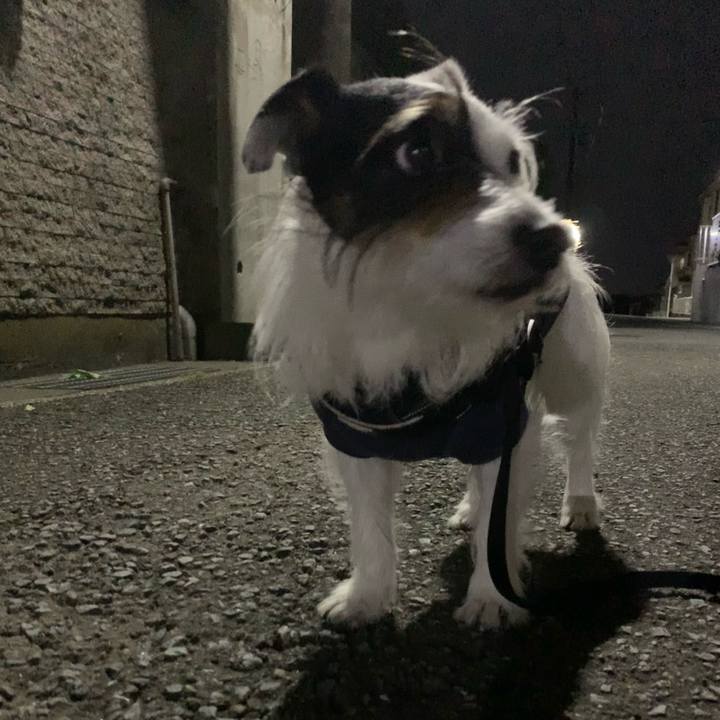 C48d456a 9ec0 4855 abfe 7b9743296de6 1685883053993