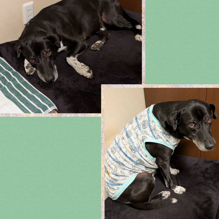 C48dc778 9341 4893 a268 c60691d5db1d 1734049427803