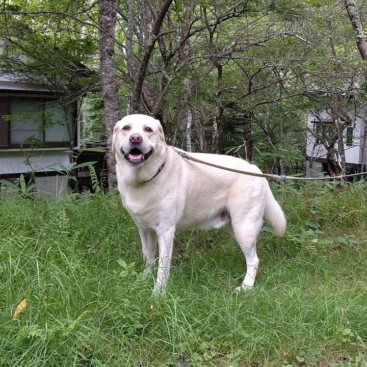 C48df804 1449 4064 8241 d8b6629e7b68 1659670498395