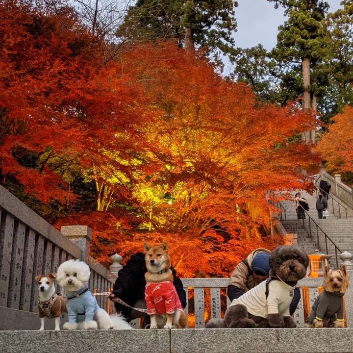 C48e031b 5d24 4c15 8e6e 44c13236f300 1638962454188