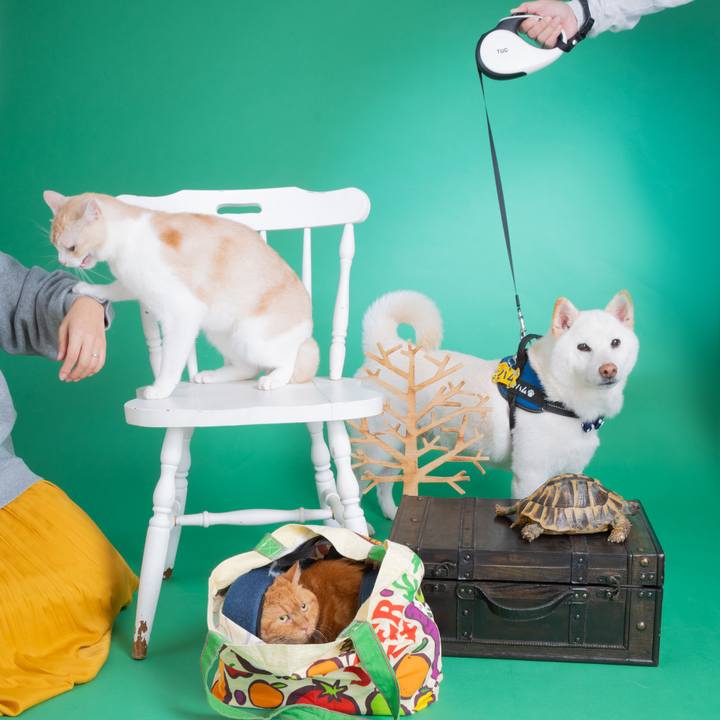 C48e23f9 8d6b 43fb 96dc 24b5aed656d5 1731403633401