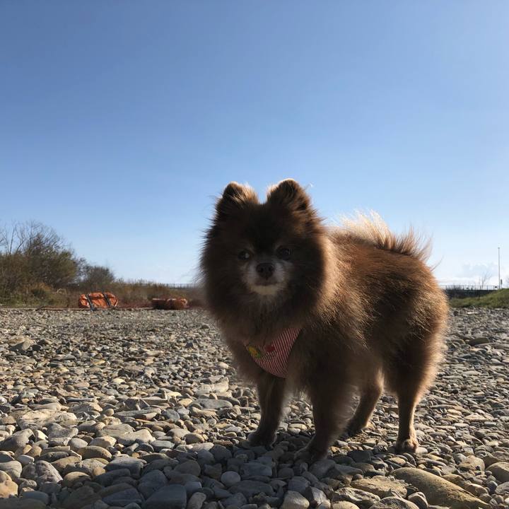 C48e3fa1 b21f 472a 8321 ac713c988623 1604759304777