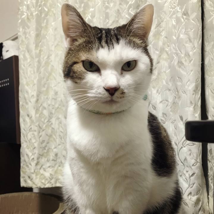 C48e7882 7c96 4424 9064 a18be25883b0 1575526627118