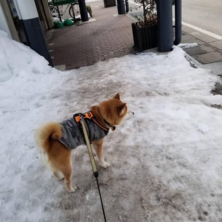 C48e8aed 5003 4a16 bc53 6098894d9649 1644726496763