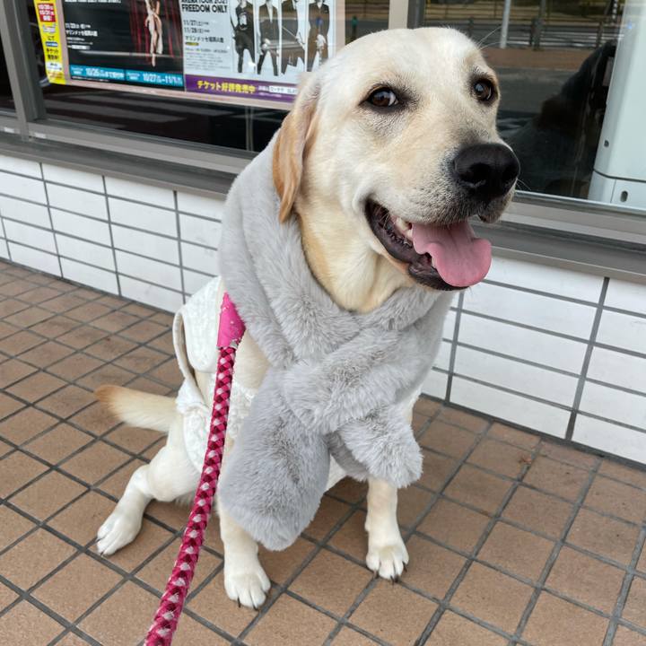 C48eb853 27ef 4c1e 9709 f7776f8bbc86 1635557602599