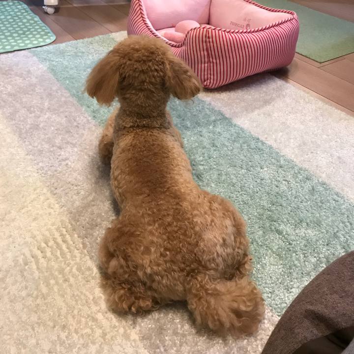 C48ebd20 03ab 4720 ba81 017b1bb1bf66 1513266327817