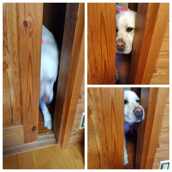 C48ee8ae b3b2 4998 a769 68ba445ae894 1589986801960