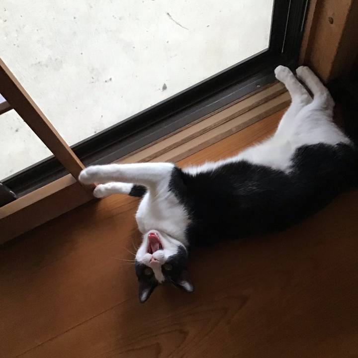 C48ef268 2132 4f69 a0fe 77d17d1698e9 1658409884676