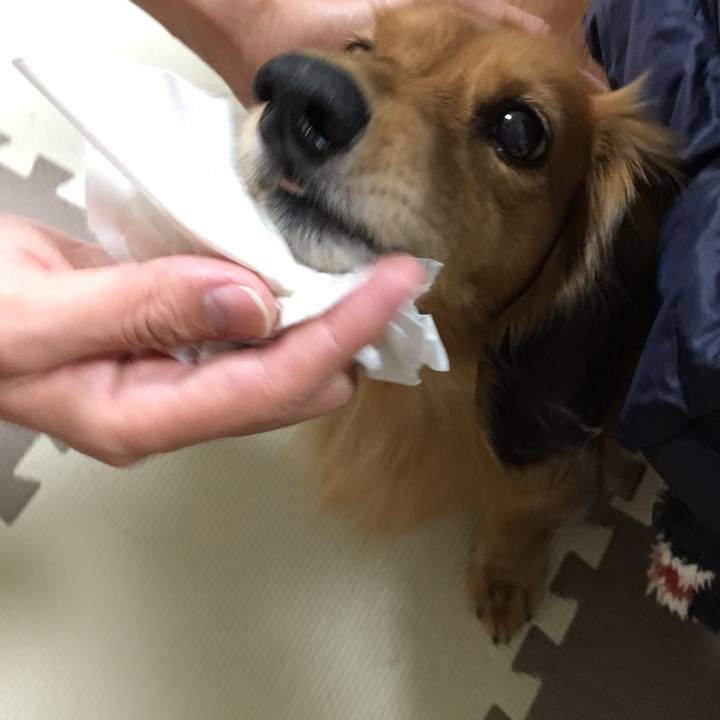 C48ef3f8 ba37 42c3 9668 377cb16174f4 1545400367861