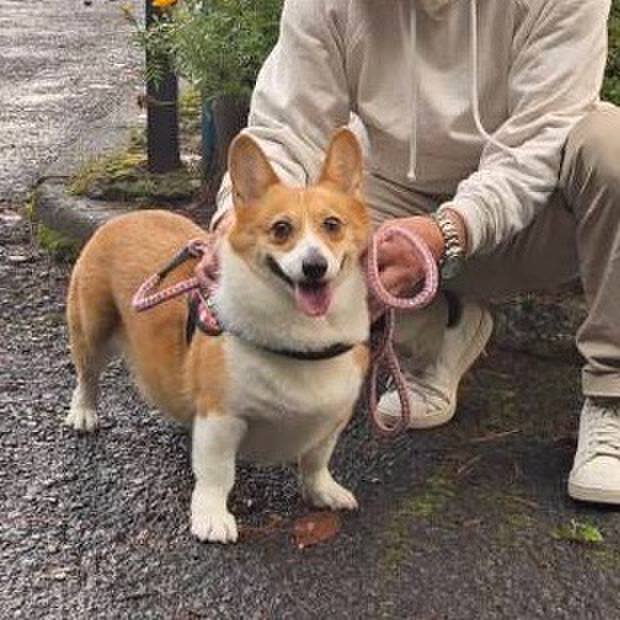 C48ef717 3323 4bd4 a03c 47c2c71defb7 1760227639278