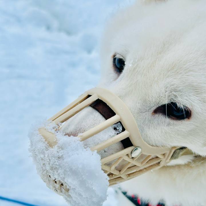 C48f163c 170d 4c9a 89ef 985a18696459 1702775837708