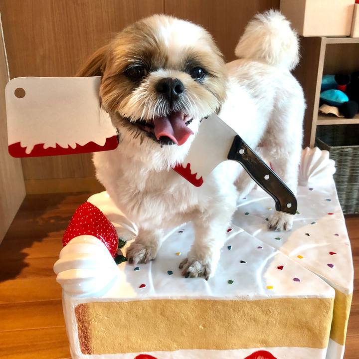 C48f2421 6923 42a3 bcf9 78c9bdc5878c 1572474830583