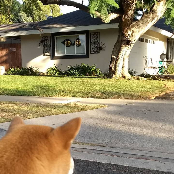 C48f482f 6f24 4612 b1e3 dce23fc46d1d 1507756796222