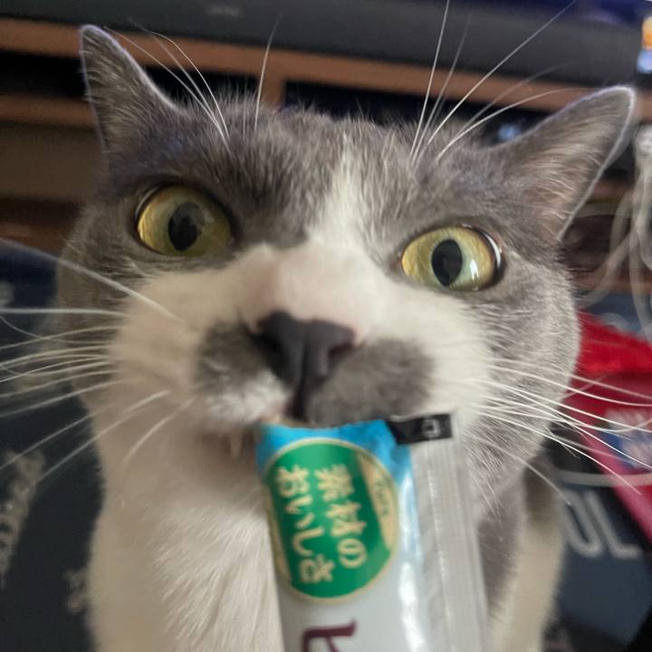 C48f75da 5a29 4a6b bd09 31c570531001 1721805586148