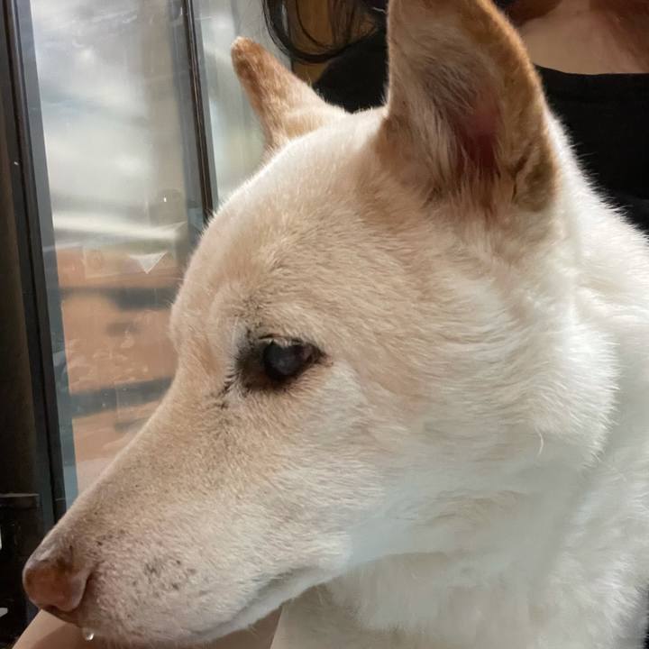 C48f7a80 8698 420b b39c be57e481c642 1634216984075