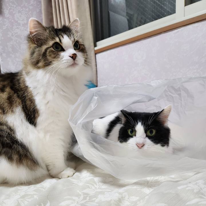 C48f8c79 45fa 4848 85f7 db3236d190e3 1697374129708