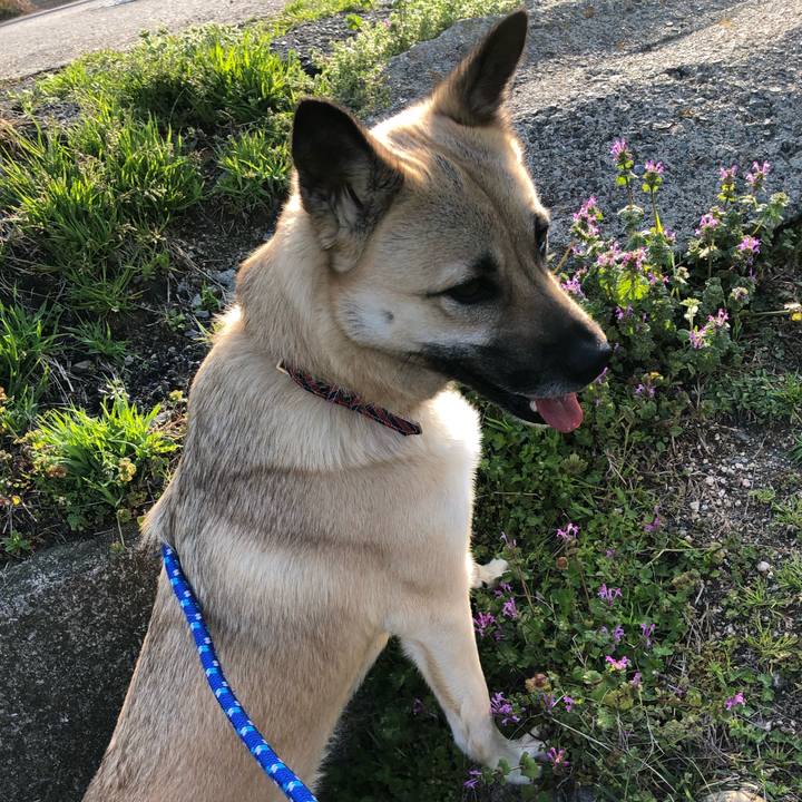 C48fca8d 1f94 4dd2 ac67 6b066a00e919 1521884469575