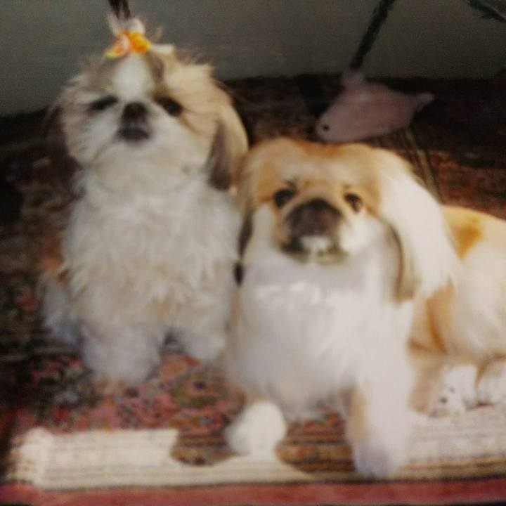 C48ff818 052b 4d2c a213 dfbd001f8371 1593181355641