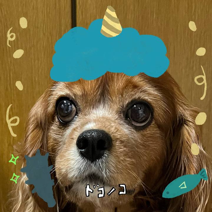 C49015e6 07f4 431a 91d3 83fbc1f03253 1706876368585