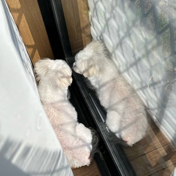 C4901816 7aaf 4067 9556 25e6a8a1f51d 1763537869873