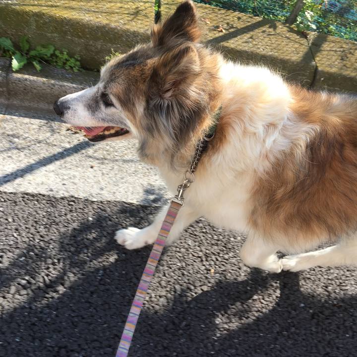 C4906e9f 11af 4be5 b3ac 42b3d7b99b2a 1508290606994