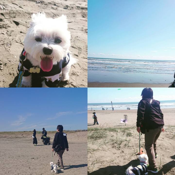 C490b8c9 ab52 4af6 adde 3c2219468726 1635159384246