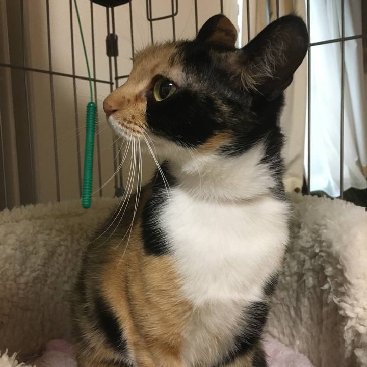 C490d400 1494 4d47 949f 86197c268cc3 1507762879534