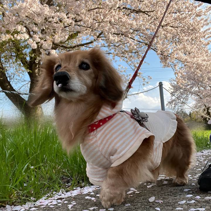 C490fd75 148c 40c6 b6b4 f14e108025dc 1680183747953