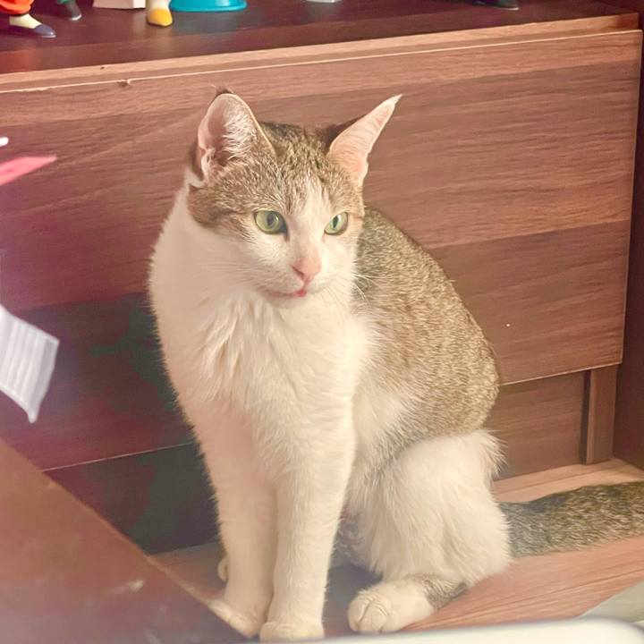 C4912bee ca38 4e29 9160 45bda6b08796 1628205437830