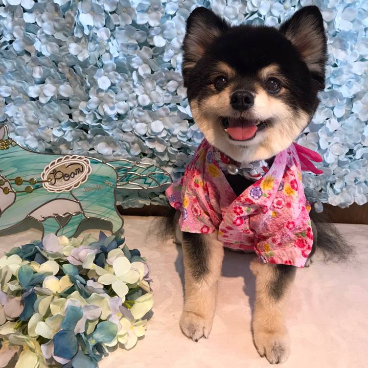 C4915539 8464 4faa 90e8 78fecbca9334 1596352582501