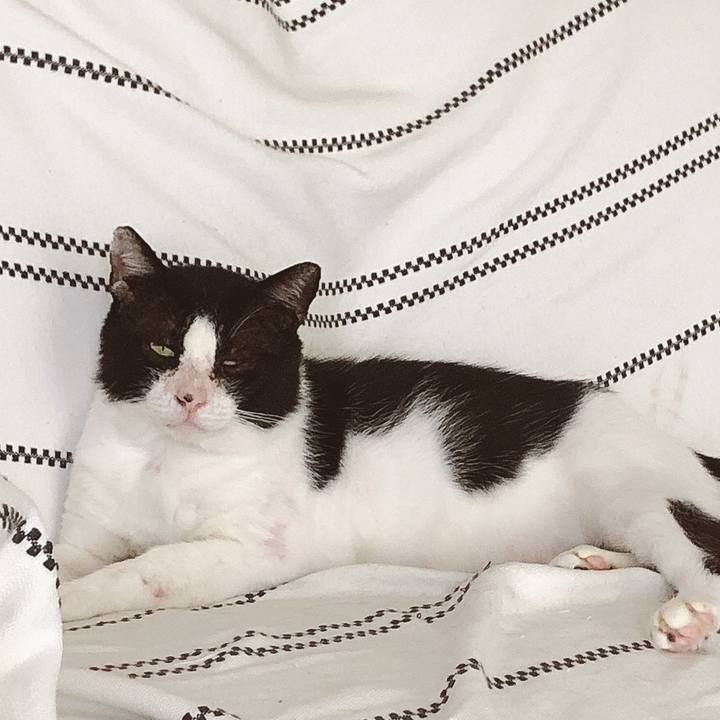 C4915e17 8753 4e7f b5e6 2a00fd47eb11 1628491683438