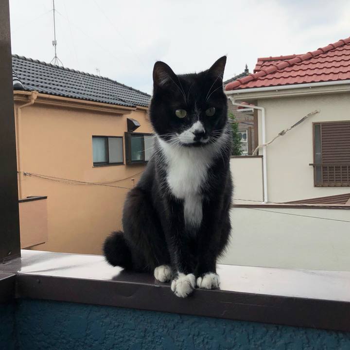 C491a0ba c097 480b 8ed6 09227513a446 1559878817856