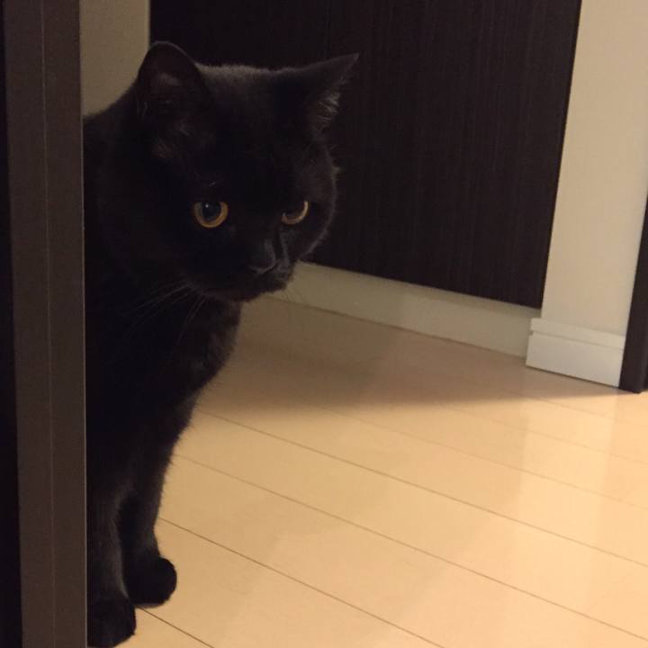 C491c011 c10a 4aa1 9660 fc78f07f7223 1592744034566