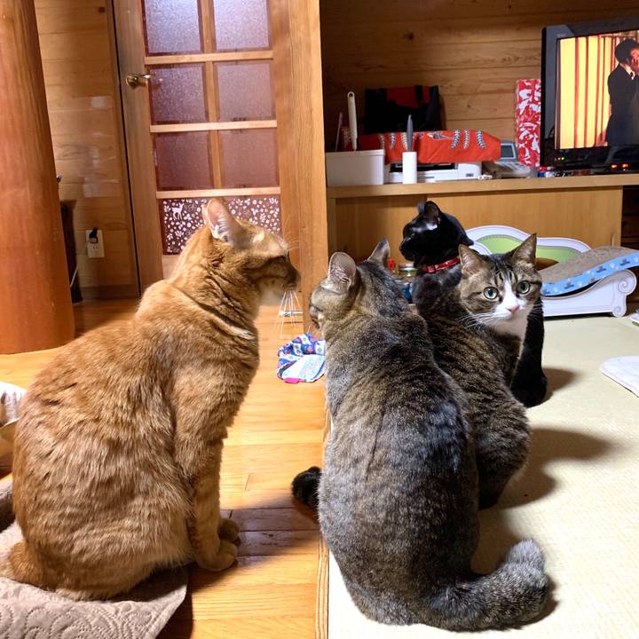 C491d7f4 a20b 49ac ac0b a1a8a72207ea 1583930848497