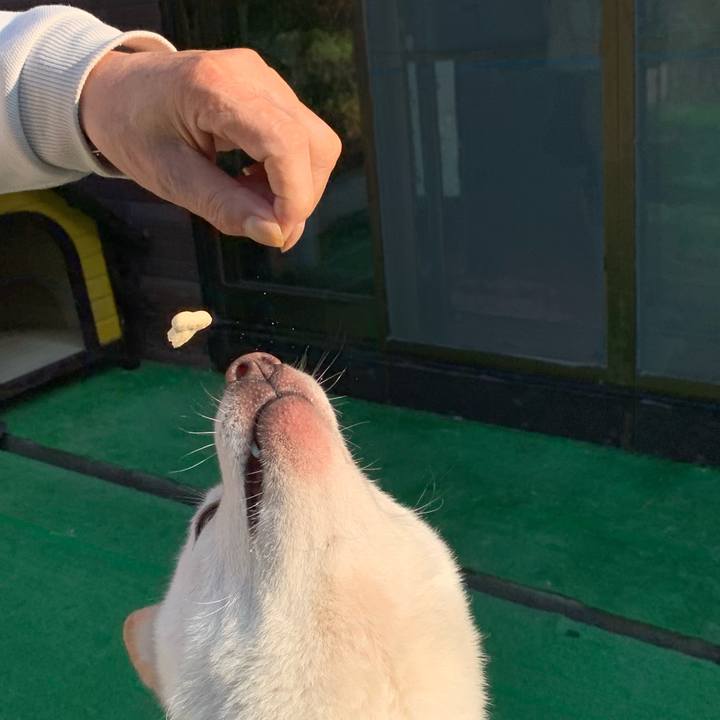 C491dd5f c9ef 4d12 ac49 c053217a7399 1627249426020