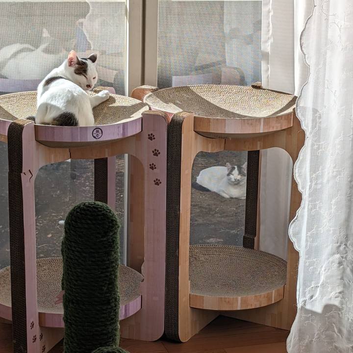 C492063b 4060 422f bd45 bf7211b02873 1700382181512