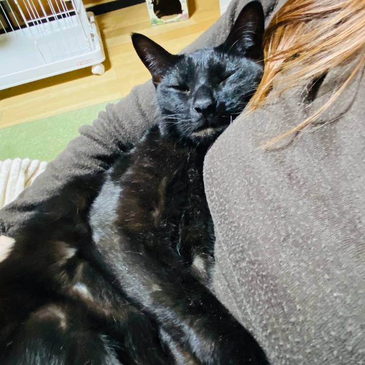 C49219ee 31ae 4d17 a5d9 7df8268c5da8 1771727887636