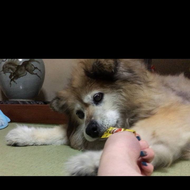 C4921e48 1f90 4f11 aaed 8e314c990177 1554876918641