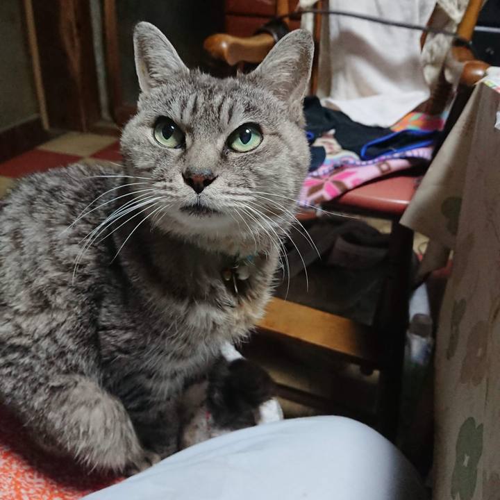 C49236be e4be 4c2b b265 0e1cc7742cda 1604434331901