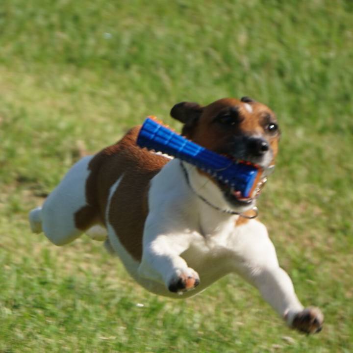 C4924808 018d 4beb 8545 2014dade3edf 1529880174502