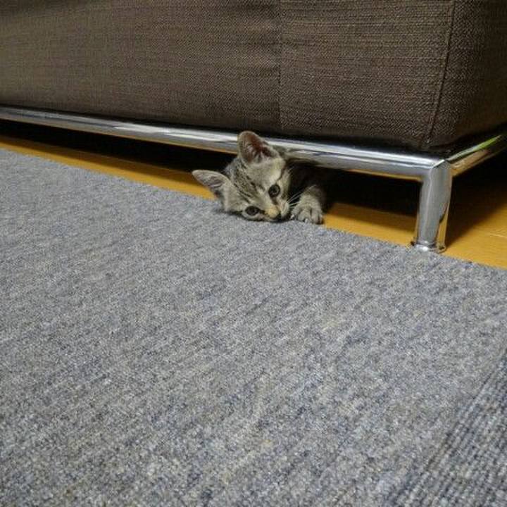 C4924b02 8e1a 4208 9335 a59362f03dce 1526529687806