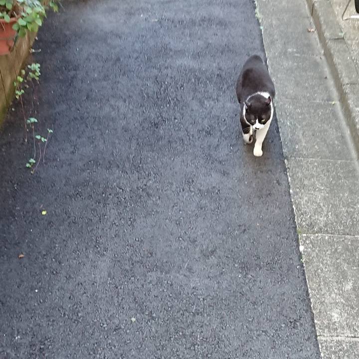 C4925235 58fb 41ee 84e2 f92614a8731c 1629415050999