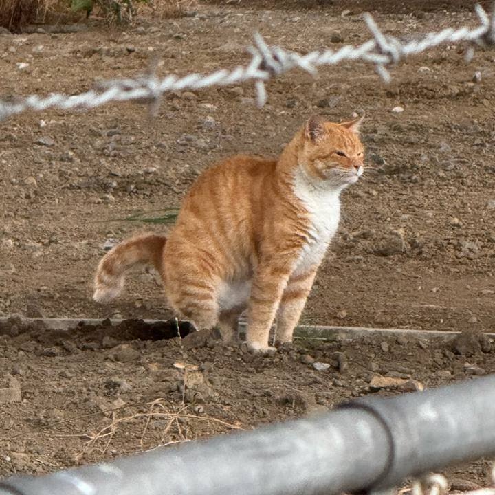 C49258ce f401 4559 80e3 f677264b0671 1752547082394