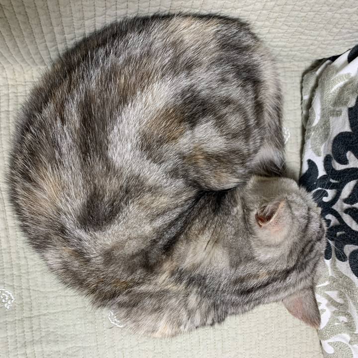 C4926d25 a2b4 4590 9a38 084308daabe1 1706699213021