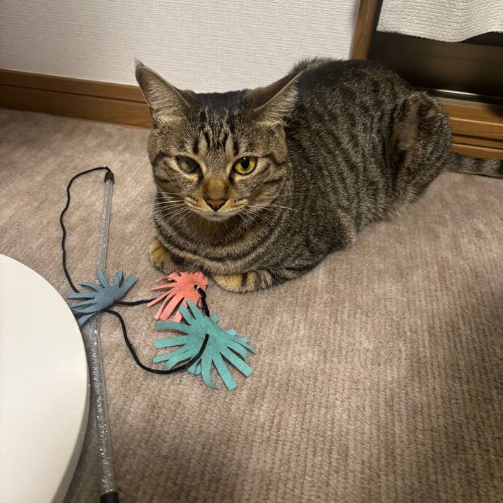 C4927a43 e315 4daf bdd3 ca3bef120f3d 1761791649777