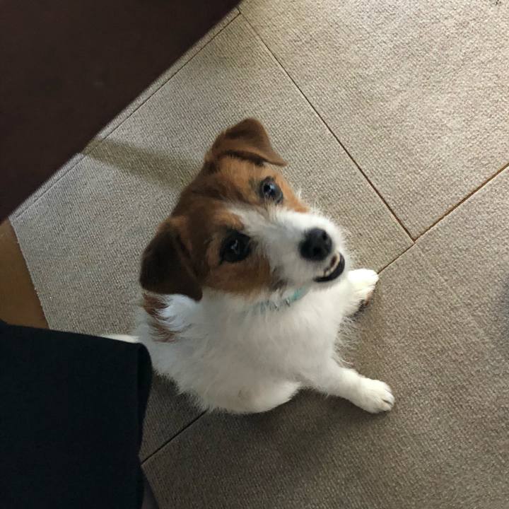 C492c4ff 3a57 4b6a a510 4ddf61ecf2ca 1524990470237