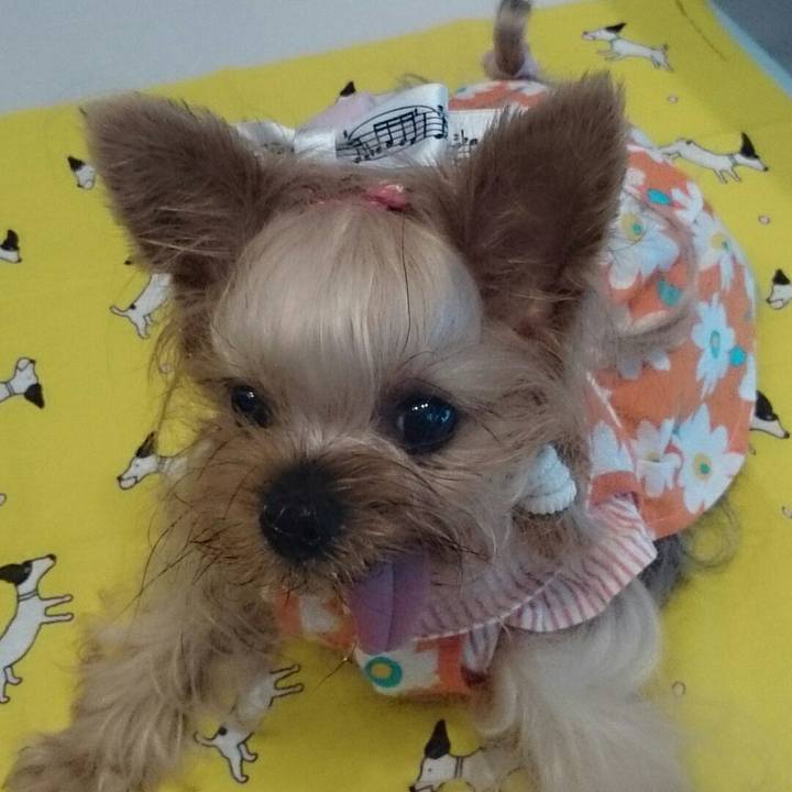 C492d9e2 2788 4485 bf05 a835fdfc1a67 1530430390324