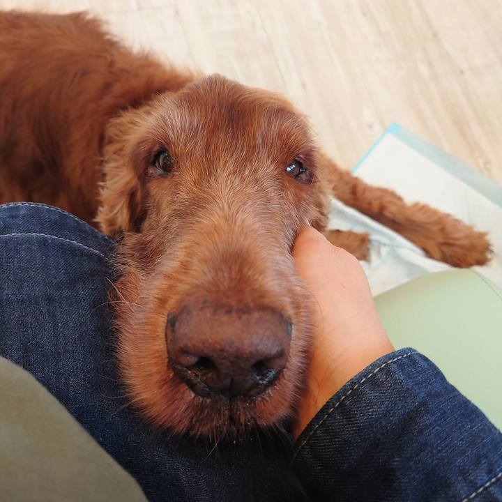 C492ff9f 9e26 45ca 8dcc 68dd012ae8e5 1616333820344