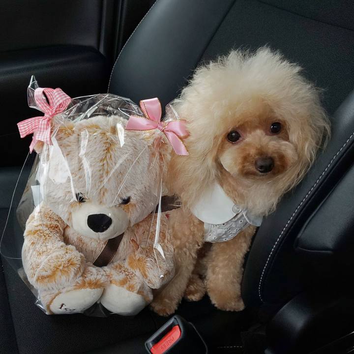 C4932c82 0405 49d3 9dbe 4e2bd347208b 1565609760329