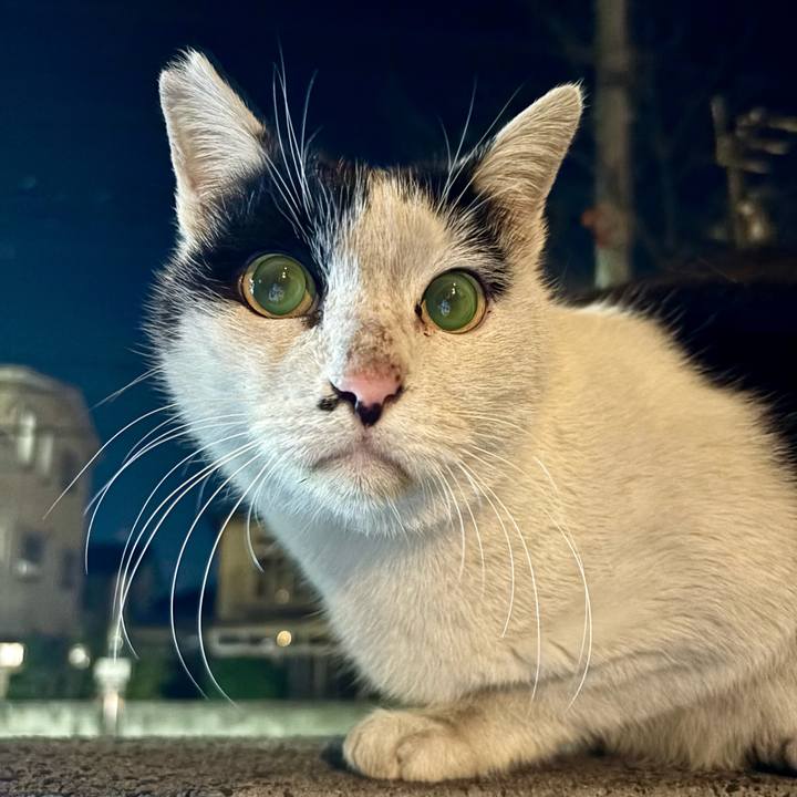 C4934f1f c5bb 4258 a0ca ddee0821c709 1765367619934